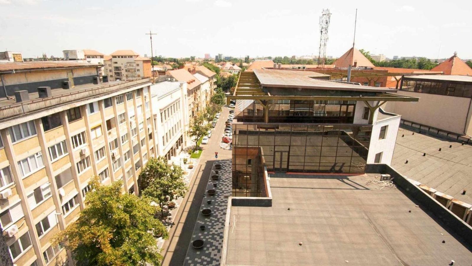 Piata Victoriei- 1 Room Apartment Timişoara Exterior foto